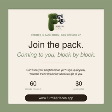bubble_life_cta_card.png